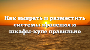 Как выбрать и разместить системы хранения и шкафы-купе правильно